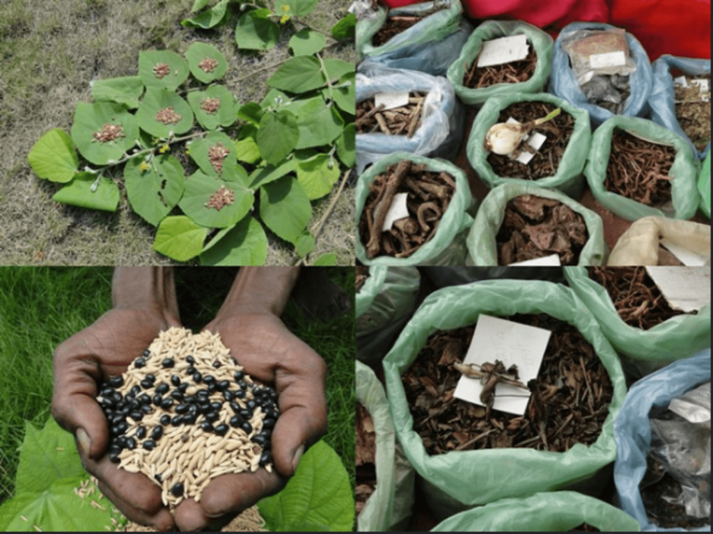 Best Guide To Organic Herbs Farming Agriculturegoods.