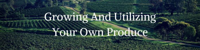 Growing And Utilizing Your Own Produce