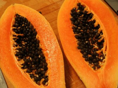 Papaya Seedlings