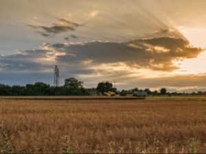 Agriculture