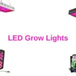 best_led_grow_lights