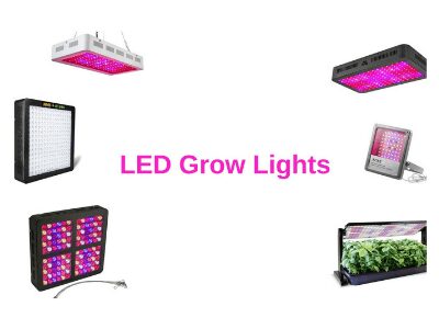 LED Grown Lights
