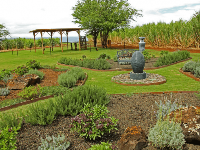 Organic Garden Organic Garden