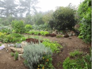 Organic Garden
