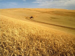 Agriculture Climate
