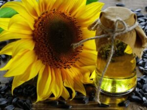 Sunflower seeds