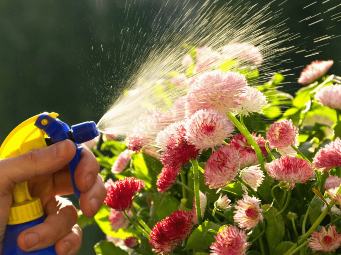 pesticides pesticides