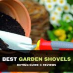 Best Soaker Hose For Your Garden and Lawn