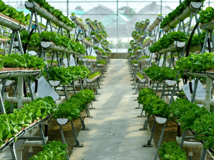 The Ultimate Guide to Vertical Farming - Agriculturegoods.