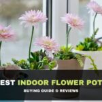 Best Stylish Indoor Flower Pots