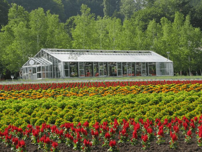 Green House Farming