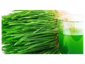 Grass Juice