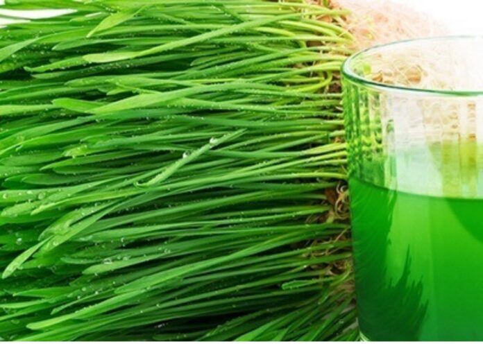 Grass Juice