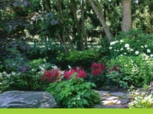 Kitchen Garden