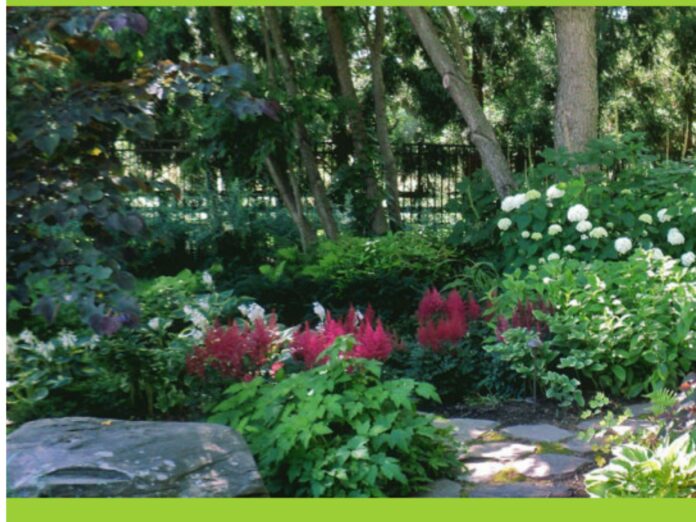 Kitchen Garden