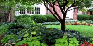 Kitchen Garden