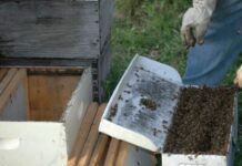 Commercial Beekeeping