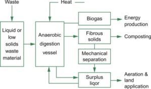 Biochemical Conversion