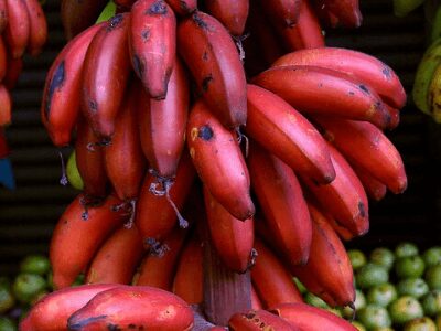 Red Banana