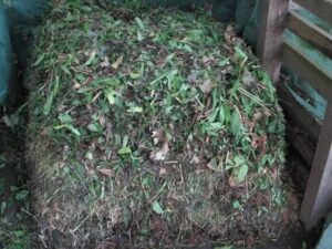 Aerobic Composting