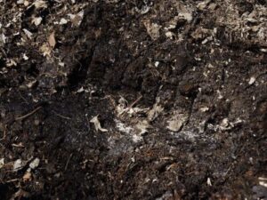 Anaerobic Composting