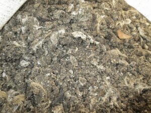 Composting Process