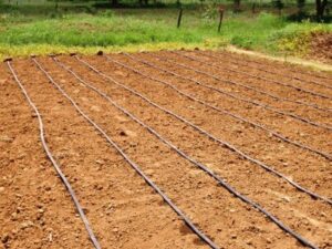 Drip irrigation