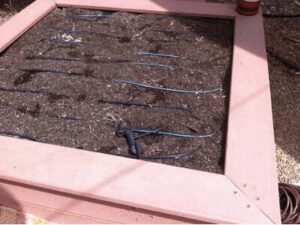 Drip irrigation