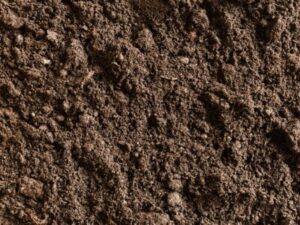 The Complete Guide on Crops Suitable for Black Soil.