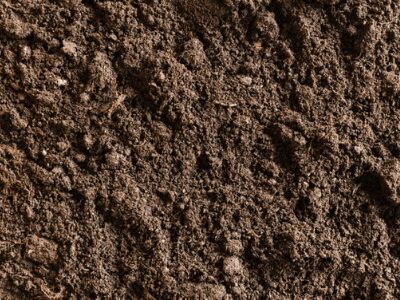 types of soil black soil