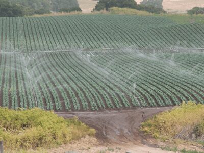 Ground Watering