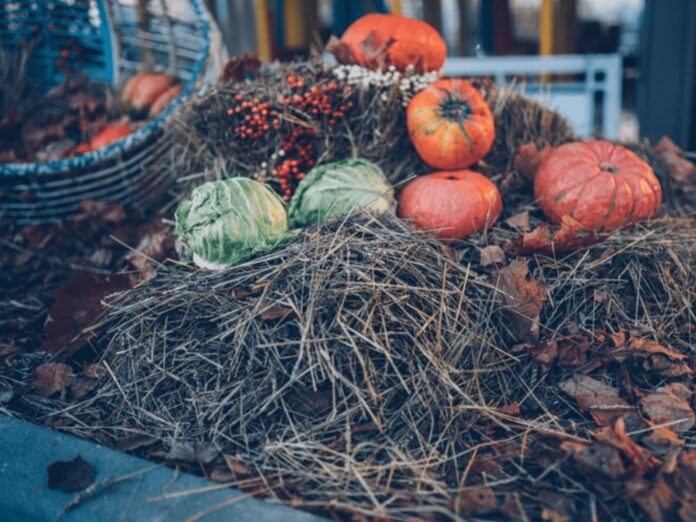 Organic Compost