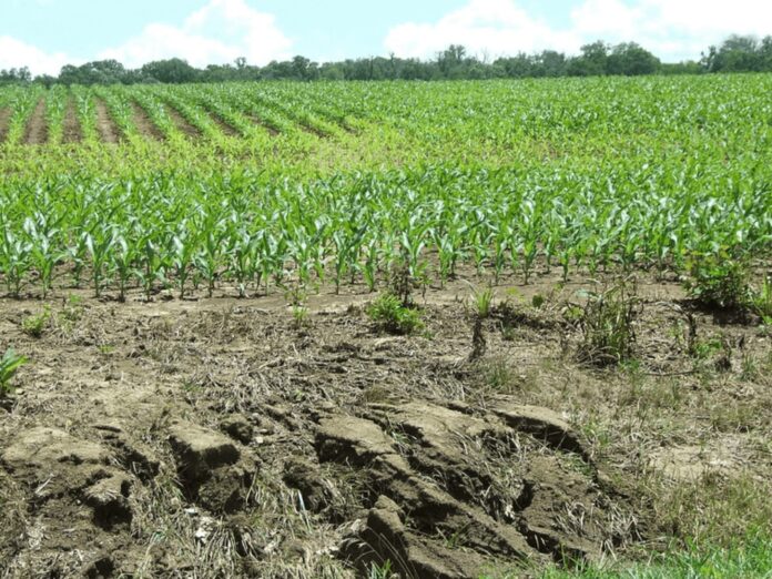 Soil Erosion