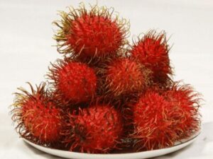 Rambutan Fruit