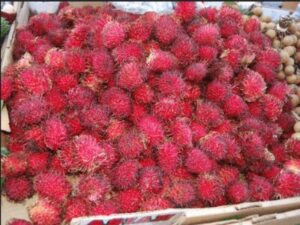 Rambutan Fruit