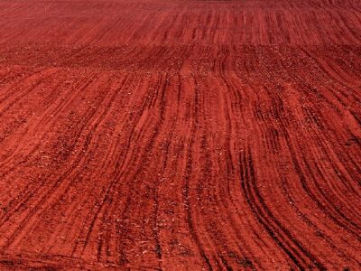 Red Soil