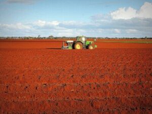 Red soil