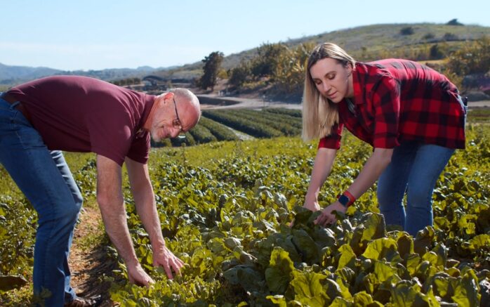 Agriculture Important and its Role in Everyday Life