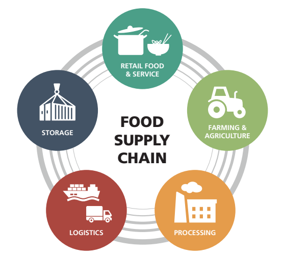 Food supply Chain