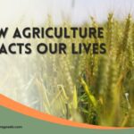 HOW AGRICULTURE IMPACTS OUR LIVES