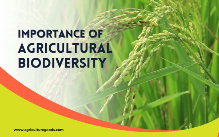 Importance of Agricultural Biodiversity