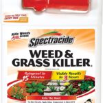Spectracide Weed & Grass Killer2