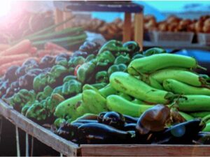 farm markets