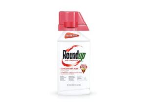 weed killer concentrate