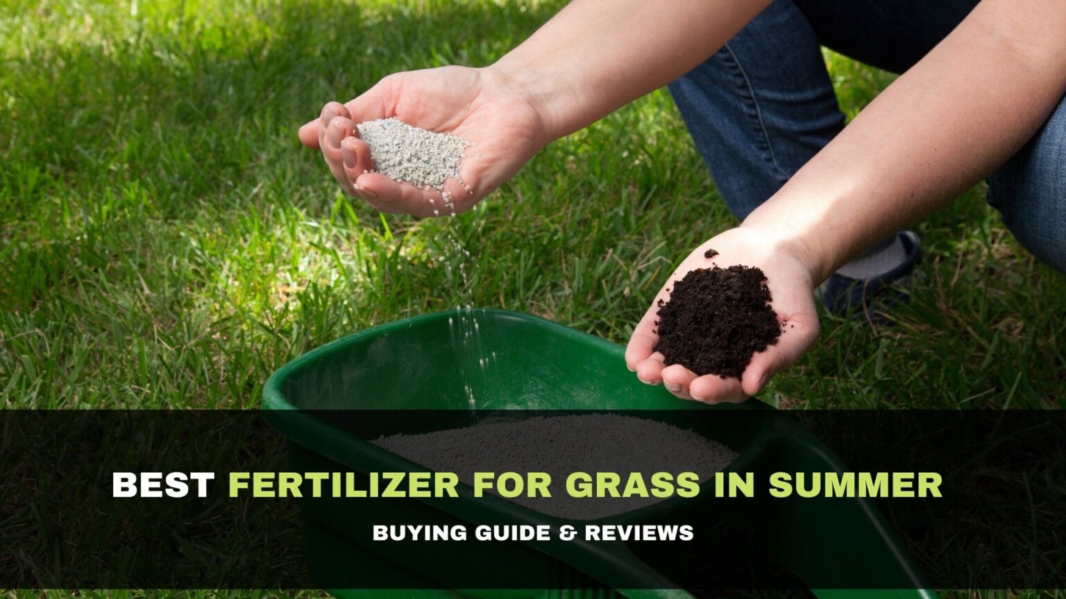 10 Best Fertilizer for Grass in Summer 2021 Buying Guide