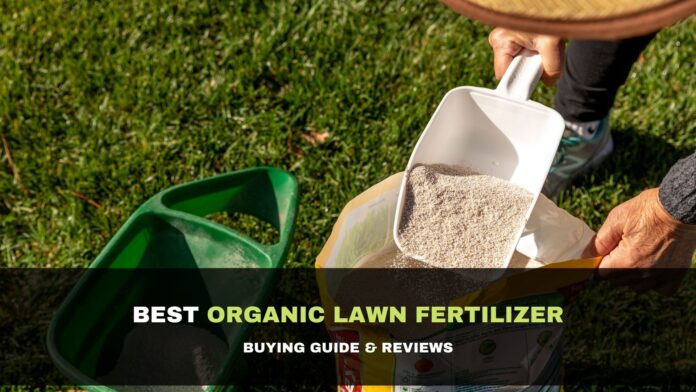 10 Best Organic Lawn Fertilizer 2021 - Buying Guide