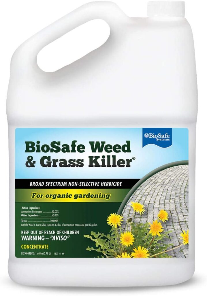 Best Natural Weed Killers