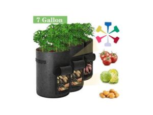 Grow Bags