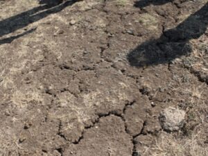 Soil Degradation