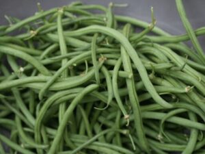 Organic Beans Cultivation